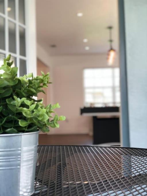 Beautiful Home Across The Street From Lake June! 레이크플래시드 외부 사진